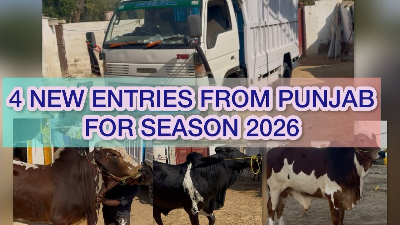 4 NEW ENTRIES FROM PUNJAB FOR SEASON 2026