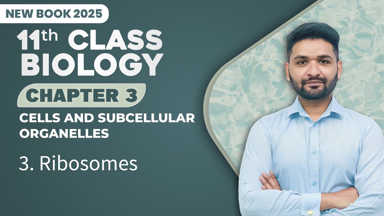 11th Class Biology Chapter 3 | Ribosomes | Class 11th New Book 2025