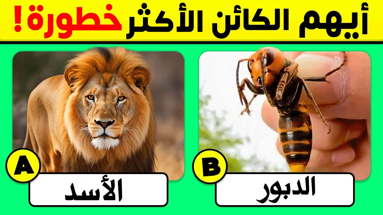 30 اسئلة واجوبة ومعلومات ثقافية مفيدة مستوى صعب| لن تعرف حلها ! الغاز للاذكياء..!!