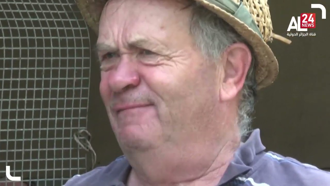 إيرلندا | حصاد 