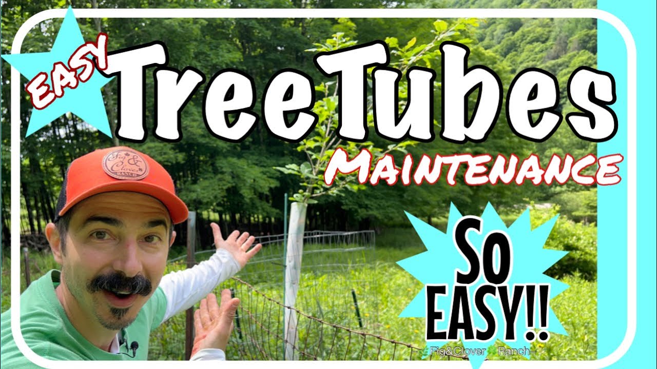 Tree Tubes - Basic Important Necessary Maintenance￼