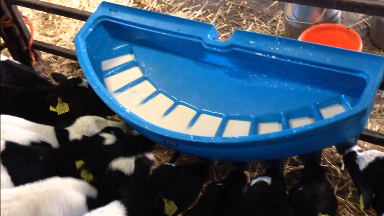 JFC Manufacturing - 10 Teat Calf Feeder