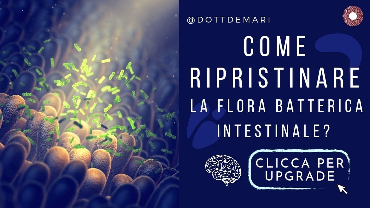 Come ripristinare la flora batterica intestinale