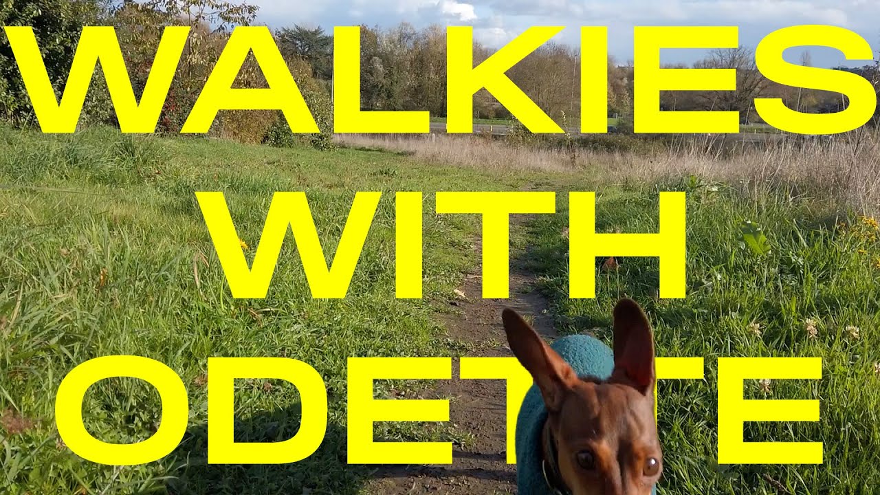 Walkies with Odette the mini dachshund by the lake on a windy day