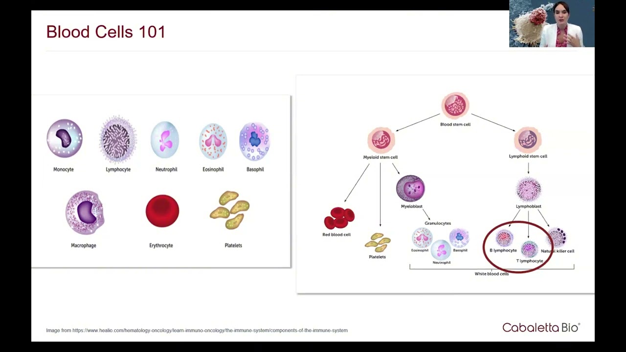 Realizing the CAR T Potential in Myositis & Beyond