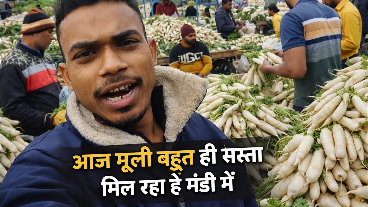 9 फ़रवरी 2026 | आज की मंडी LIVE – मूली कौड़ियों के भाव🫛🍐🥒🥕