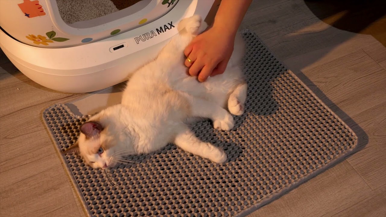 PAWSROOM Cat Litter Mat