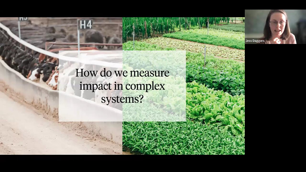 Measuring Systemic Impact