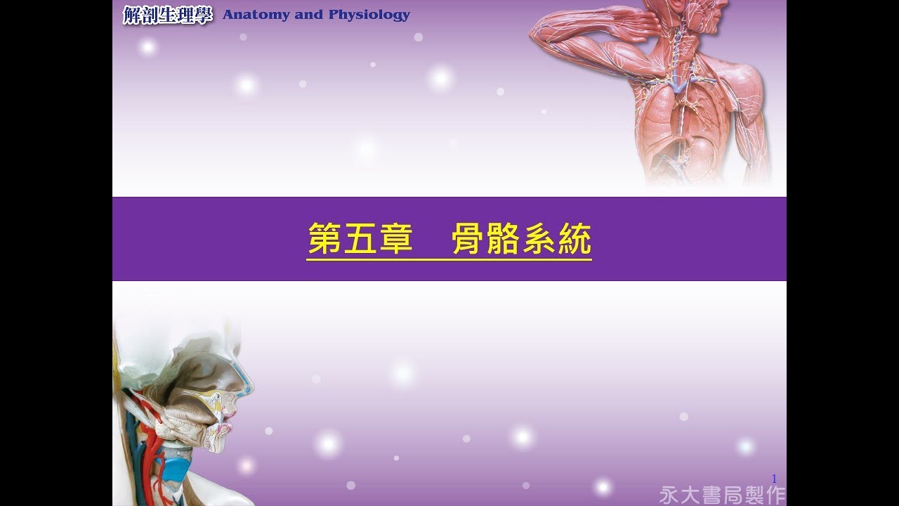 生理解剖學 第5章  骨骼系統 1 骨骼組織  複習  魏銘政醫師 20200329 錄音