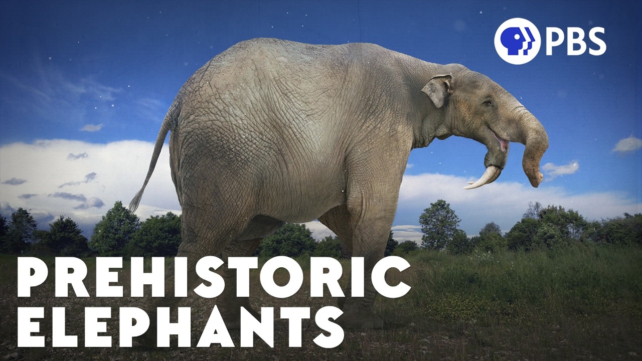 How The Elephant Got Its Trunk