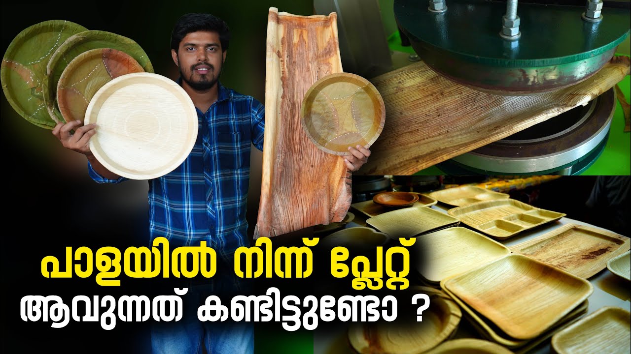 പാളയിൽ നിന്ന് പ്ലേറ്റ് ആവുന്നത് കണ്ടിട്ടുണ്ടോ ? | Areca leaf plate Making | Paper plate making