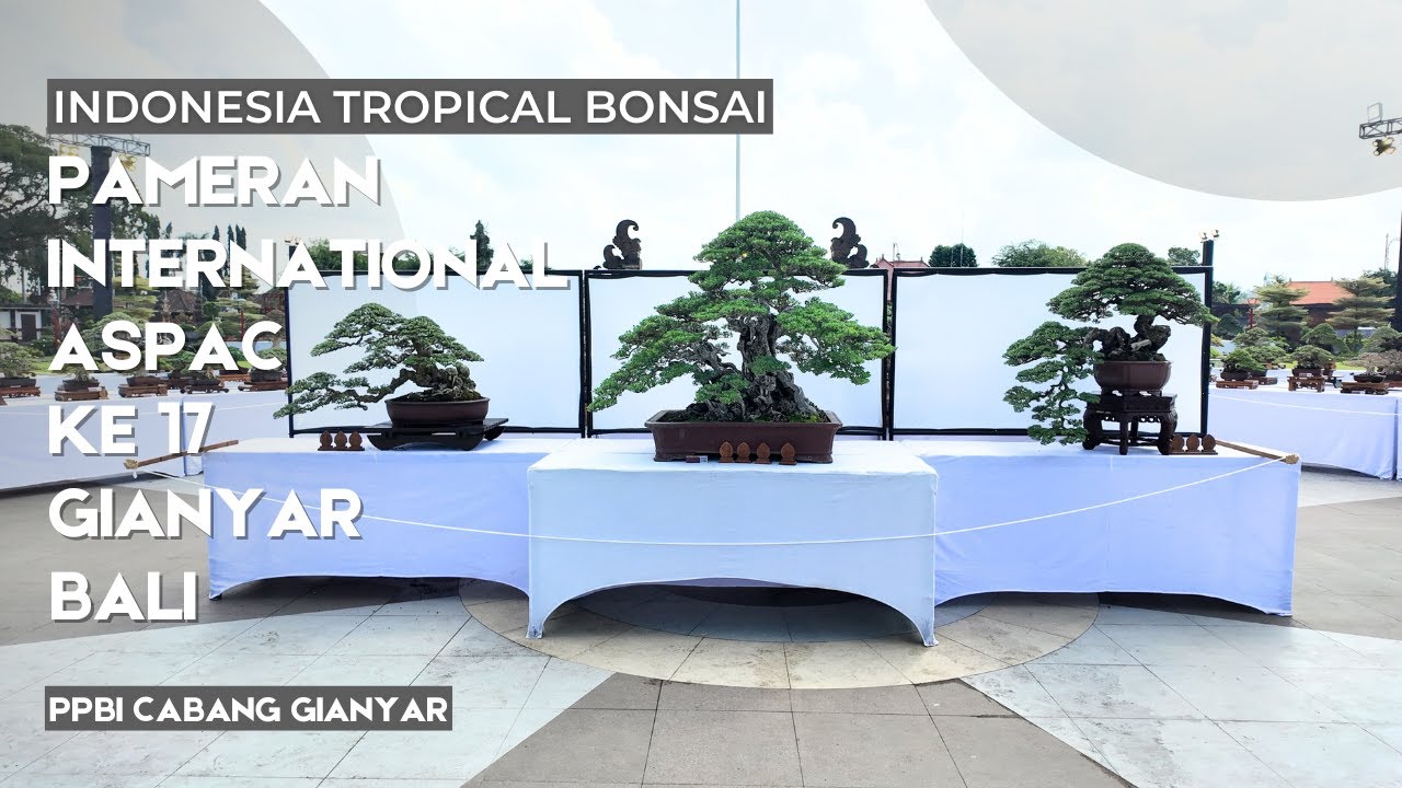 ASIA PACIFIC BONSAI AND SUISEKI EXHIBITION & CONVENTION 2025 ( ASPAC 17TH BALI )