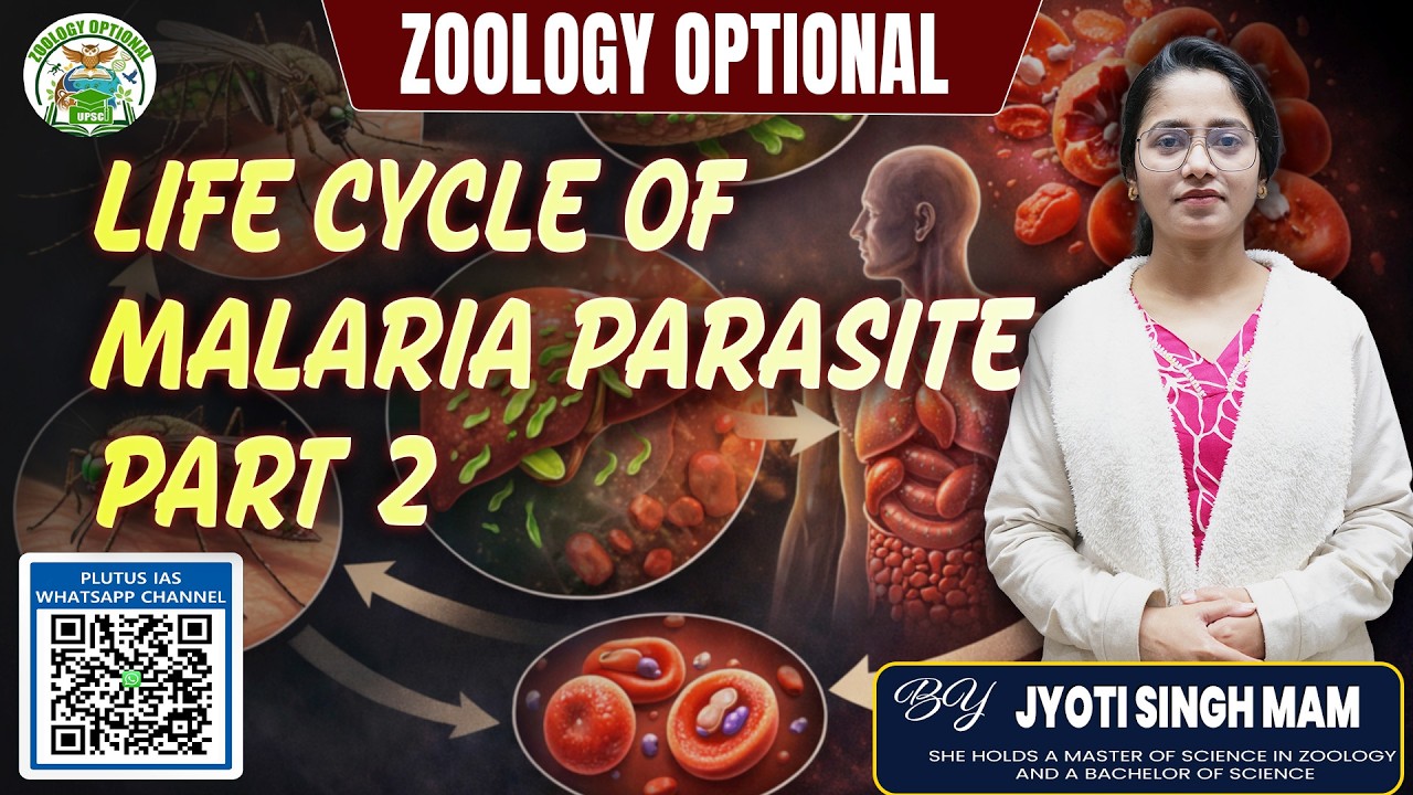 “Life Cycle of Malaria Parasite Part 2” by Jyoti Singh Mam