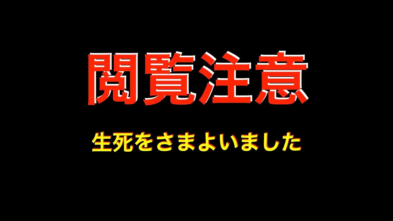 【閲覧注意】ホルネル症候群猫の治療過程を追った衝撃映像