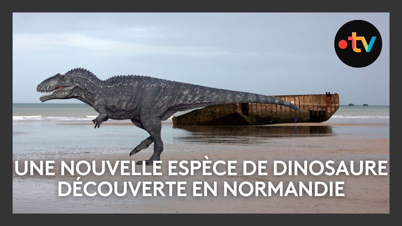 Une nouvelle espèce de dinosaure découverte en Normandie