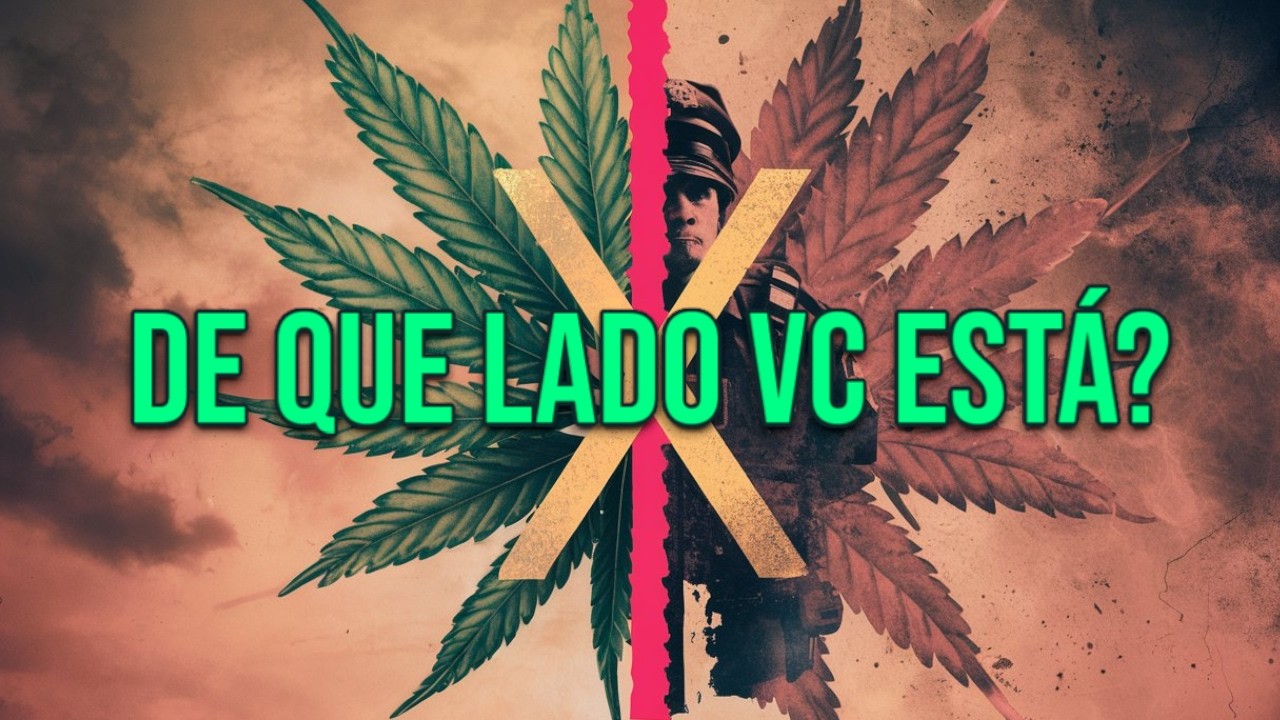 Advogada explicando como vai funcionar a DESCRIMINALIZAÇÃO DA MACONHA no Brasil