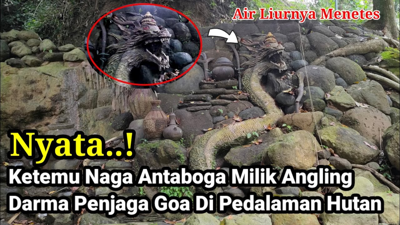 NYATA !! Ketemu Ular Naga Antaboga Milik Angling Darma Penjaga Goa Misterius Di Pedalaman Hutan