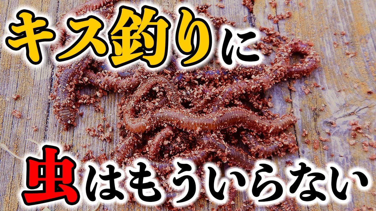 【キス釣り】ゴカイ以外の爆釣エサを見つけました【冷凍保存OK】