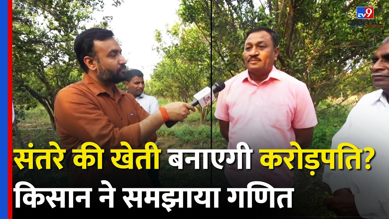 Nagpur के संतरे क्यों हैं फेमस, किसान कैसे Orange Farming से कमा रहे हैं लाखों रुपये? #tv9d