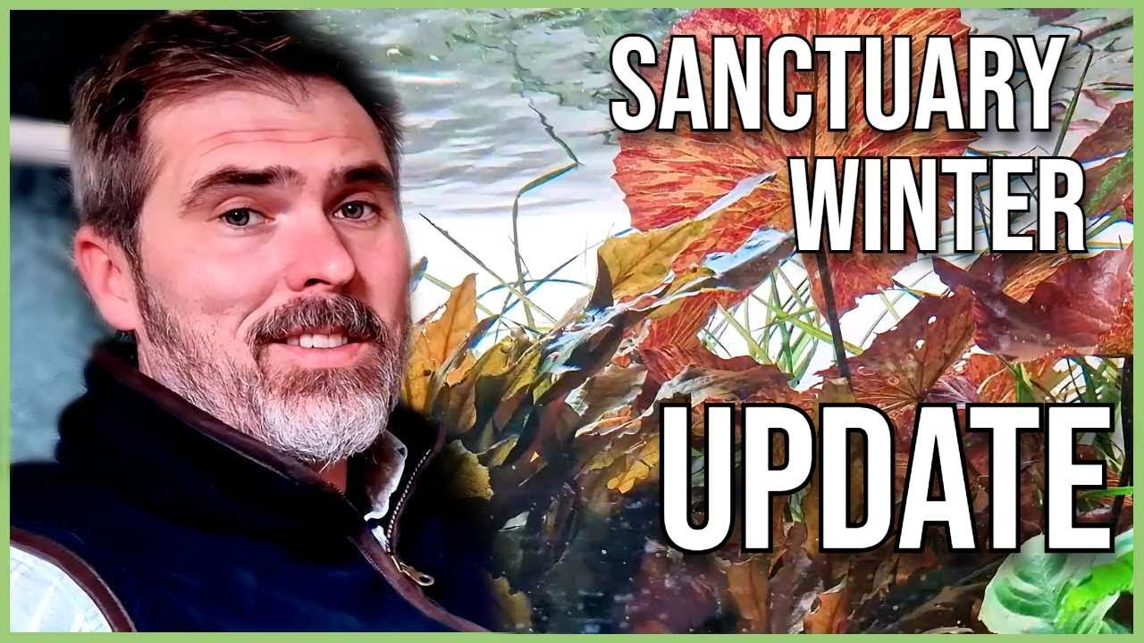 Winter Aquascaping & Terrarium Care:- Aquascape Updates, Tub Terrarium Build & Houseplant tips