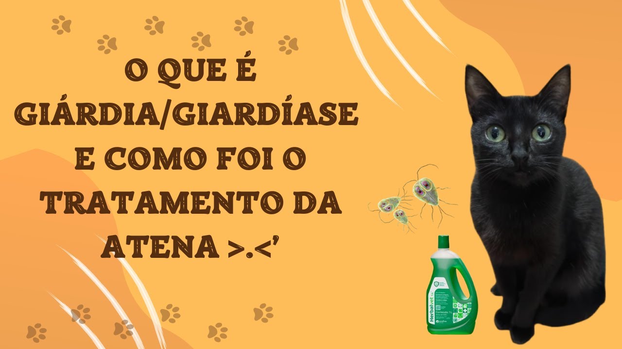 Giardíase ou Giárdia - caso da Atena