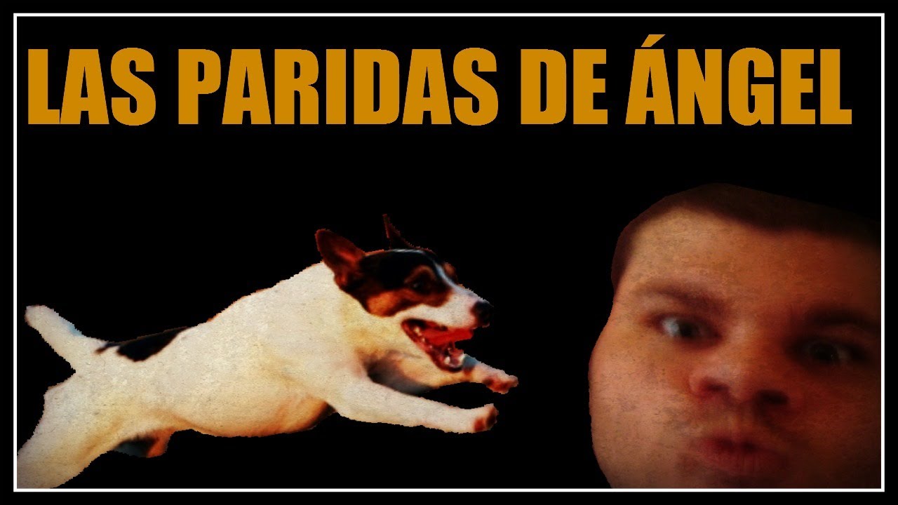 #6 RT MP7 Con Ángel y Elyas | Perros en el aire XD | Josemi