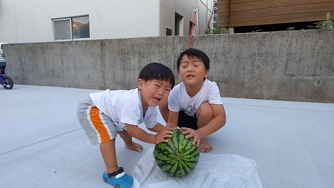 スイカ割僕にもやらせてよ怒る大泣きどんちゃん　＃1249　ひなごんおいちゃんどんちゃん三兄弟vlog