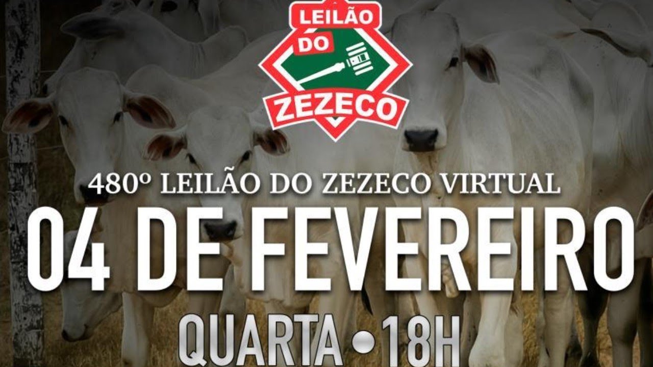 480º LEILÃO DO ZEZECO VIRTUAL - MIRANDA/MS - RURAL PLAY