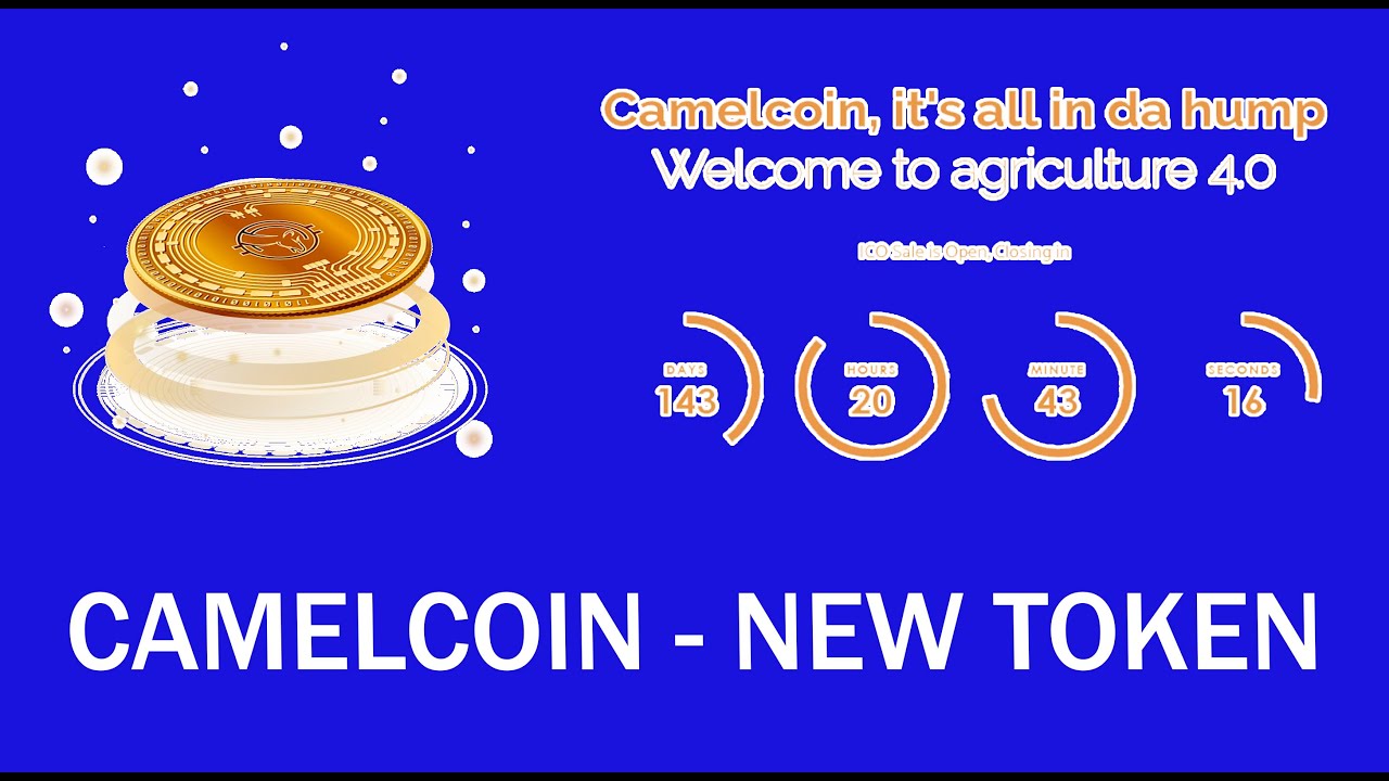 EARNING MONEY ONLINE! CAMELCOIN. NEW TOKEN 2021. ICO TOP