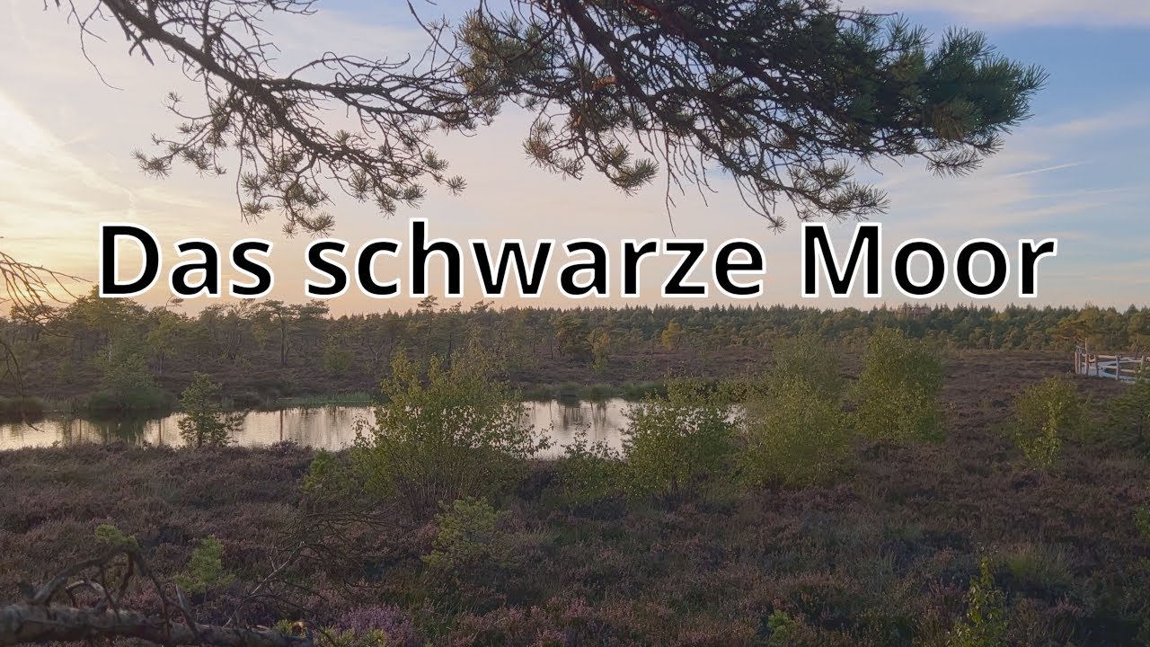 Das schwarze Moor im UNESCO Biosphärenreservat Rhön