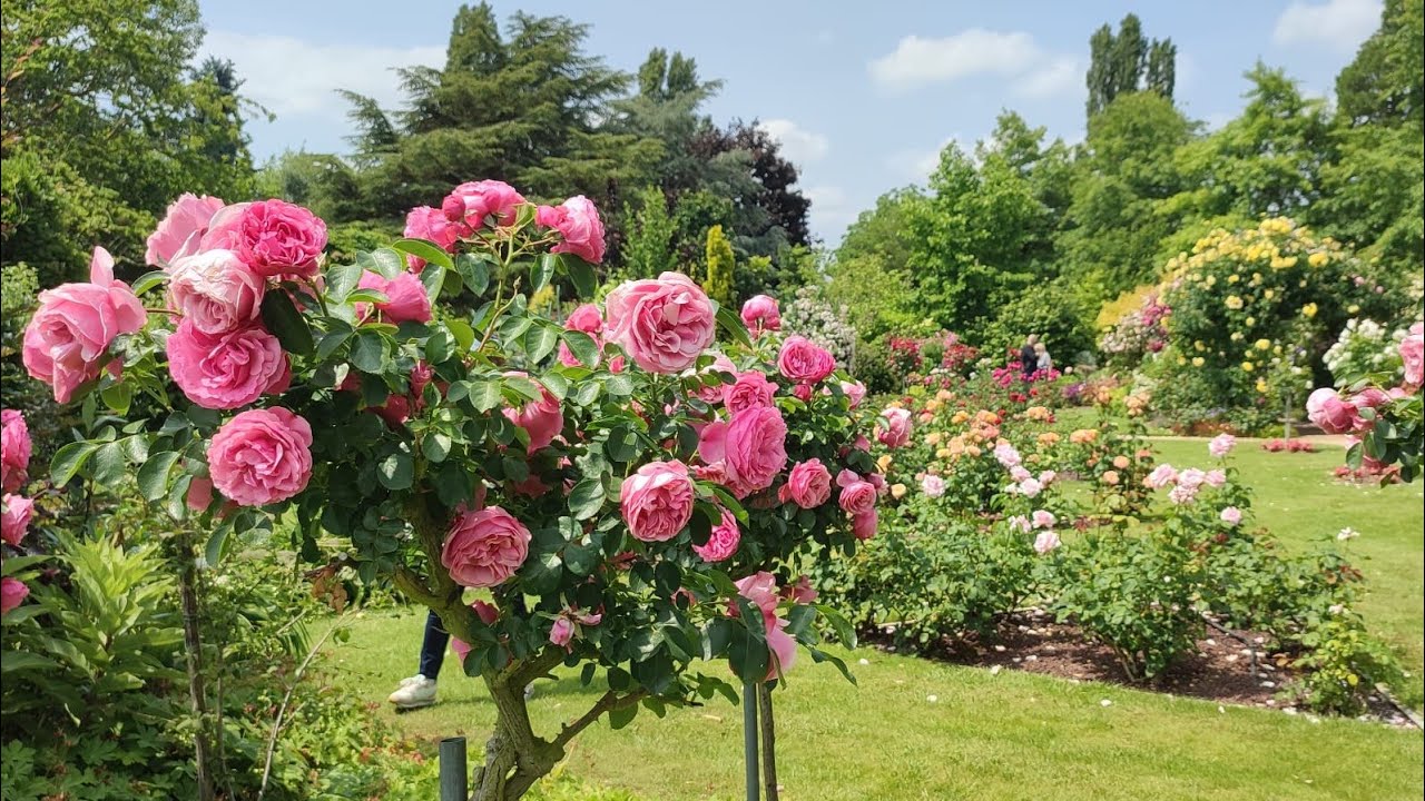 La Grande Bercherie, jardin privé à Gasville-Oisème 28, toujours aussi Sublimissime !!! 🤗🥰👍☀️