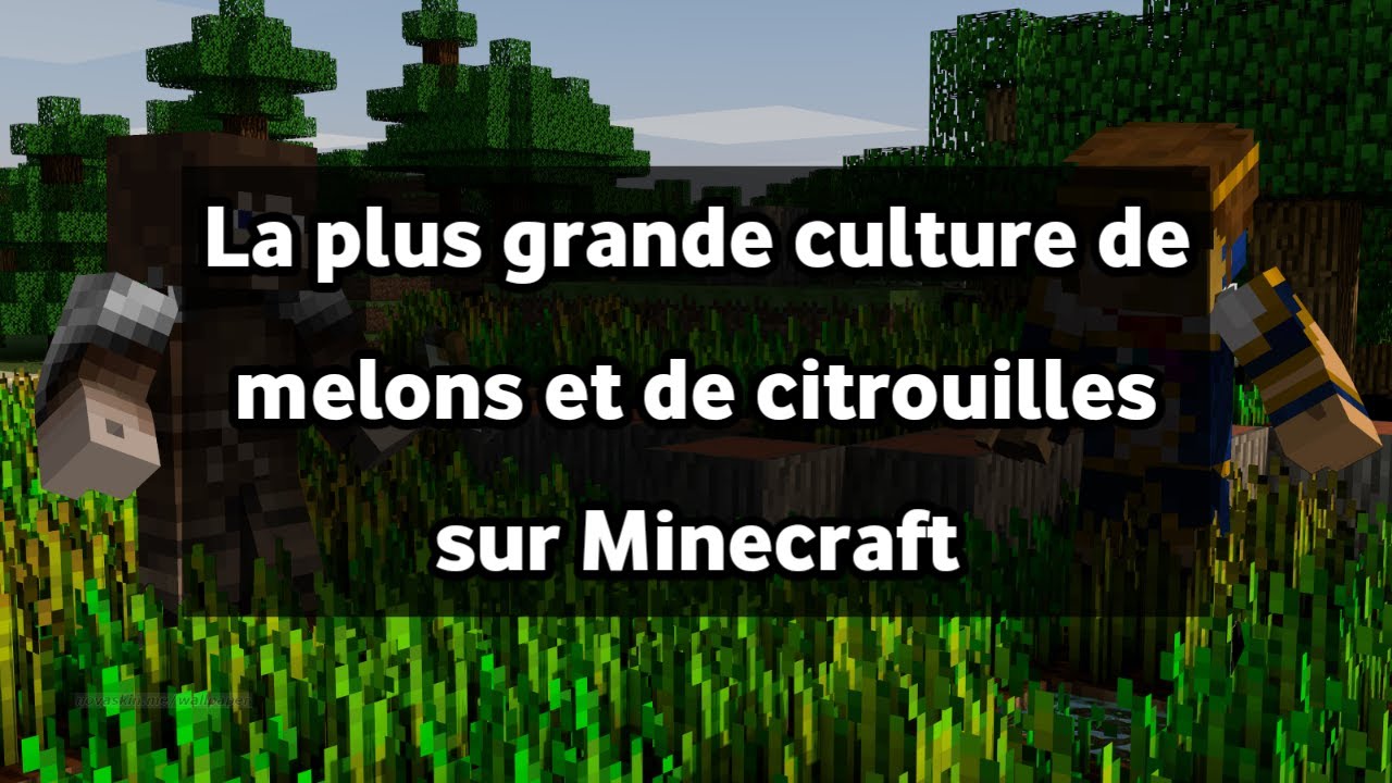 La plus grande culture de melons et de citrouilles sur Minecraft