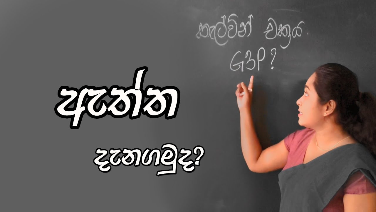 Prabasansleshanaya Calvin chakraya min 10n (ප්‍රභාසන්ස්ලේශණය කැල්වින් චක්‍රය මින්10 න්)#calvincycle#