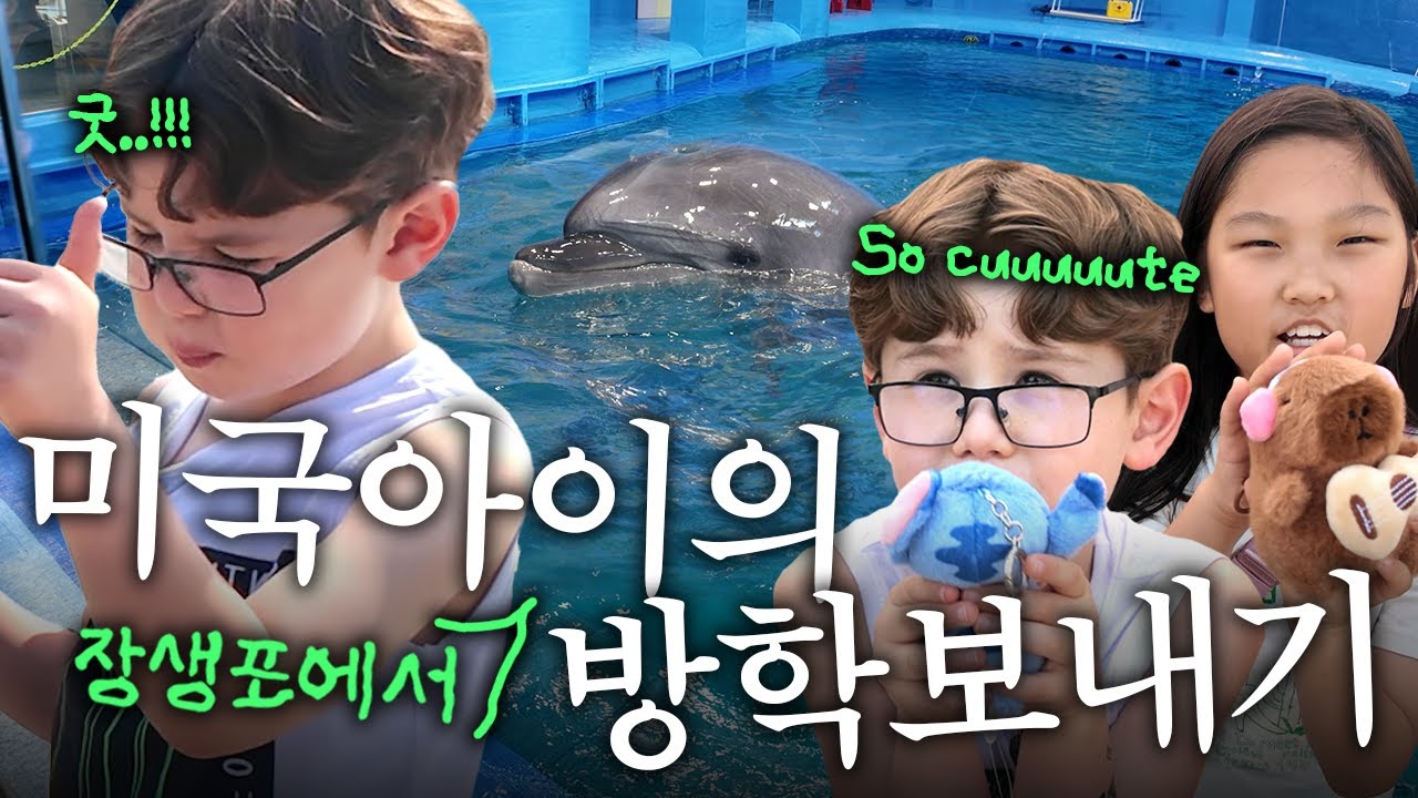 돌고래 보러 미국에서 왔어🐬✨덱스의 여름방학 브이로그🎒