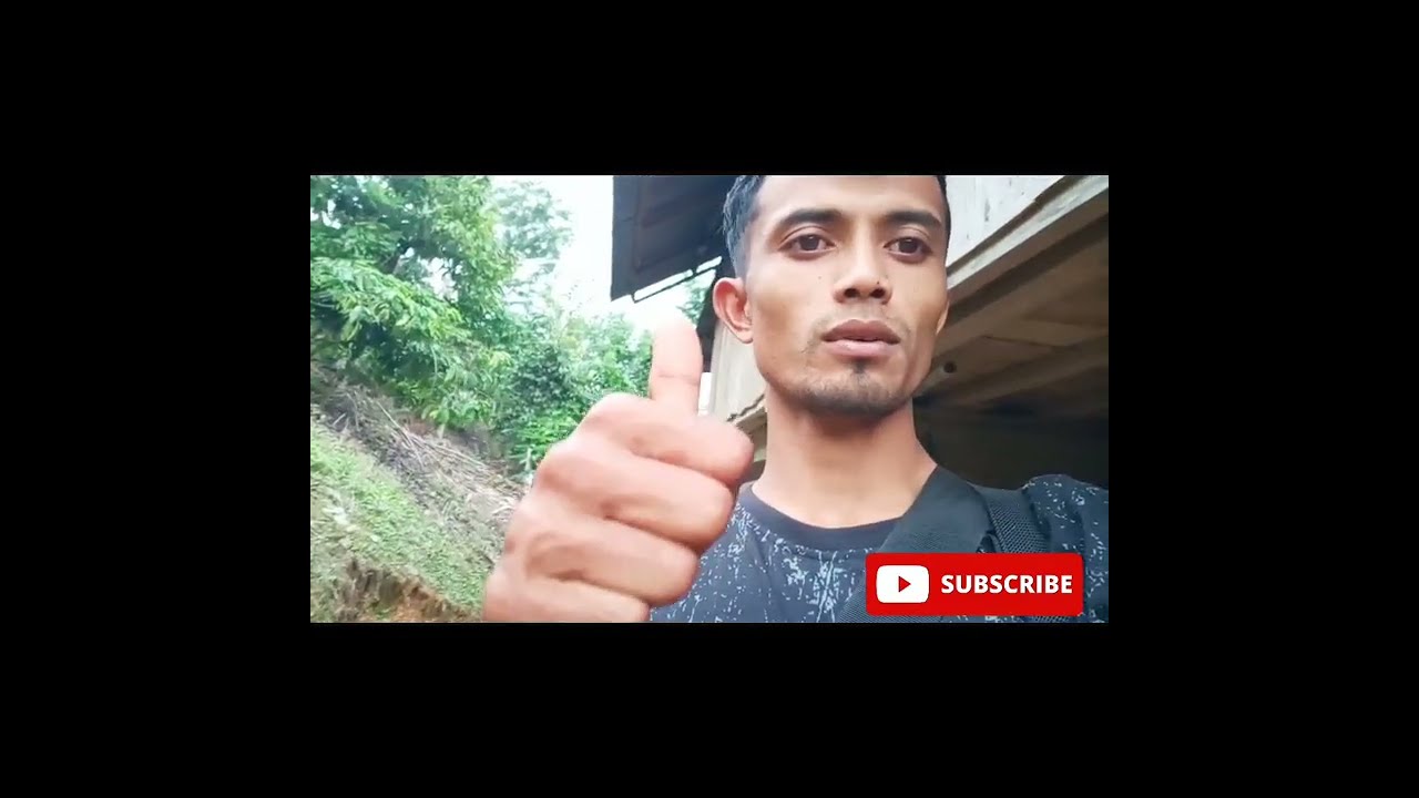 Shot buruan babi hutan di jarak 30meter langsung tumbang'berpadu dengan kamera nig vision007‼️