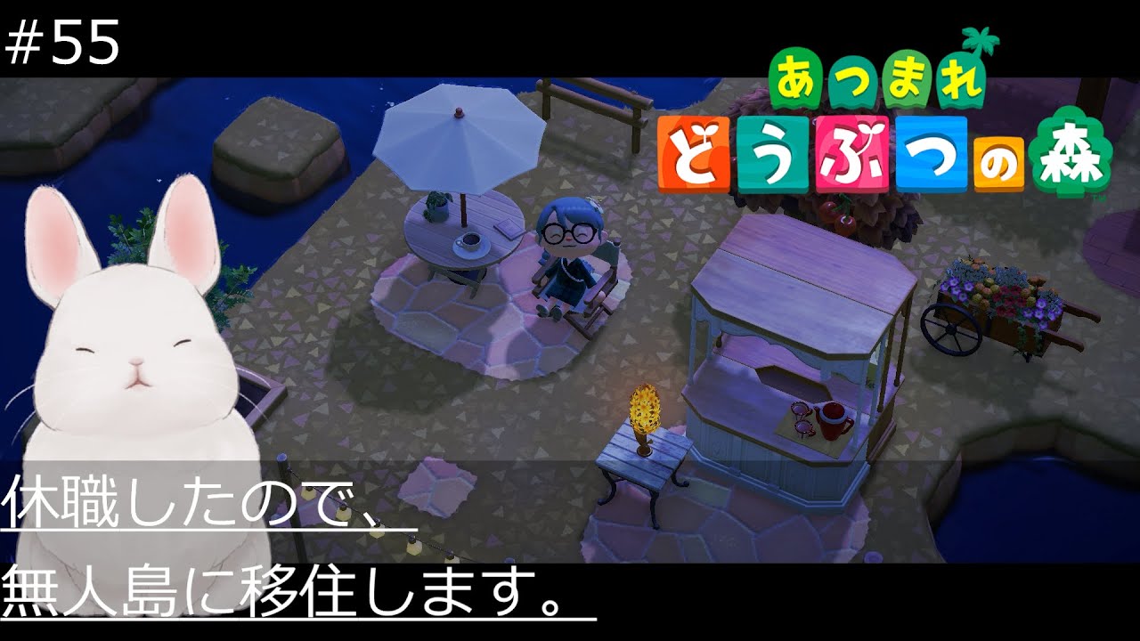 Animal Crossing | A Winter Night Walk – Becoming the Island Creator #55