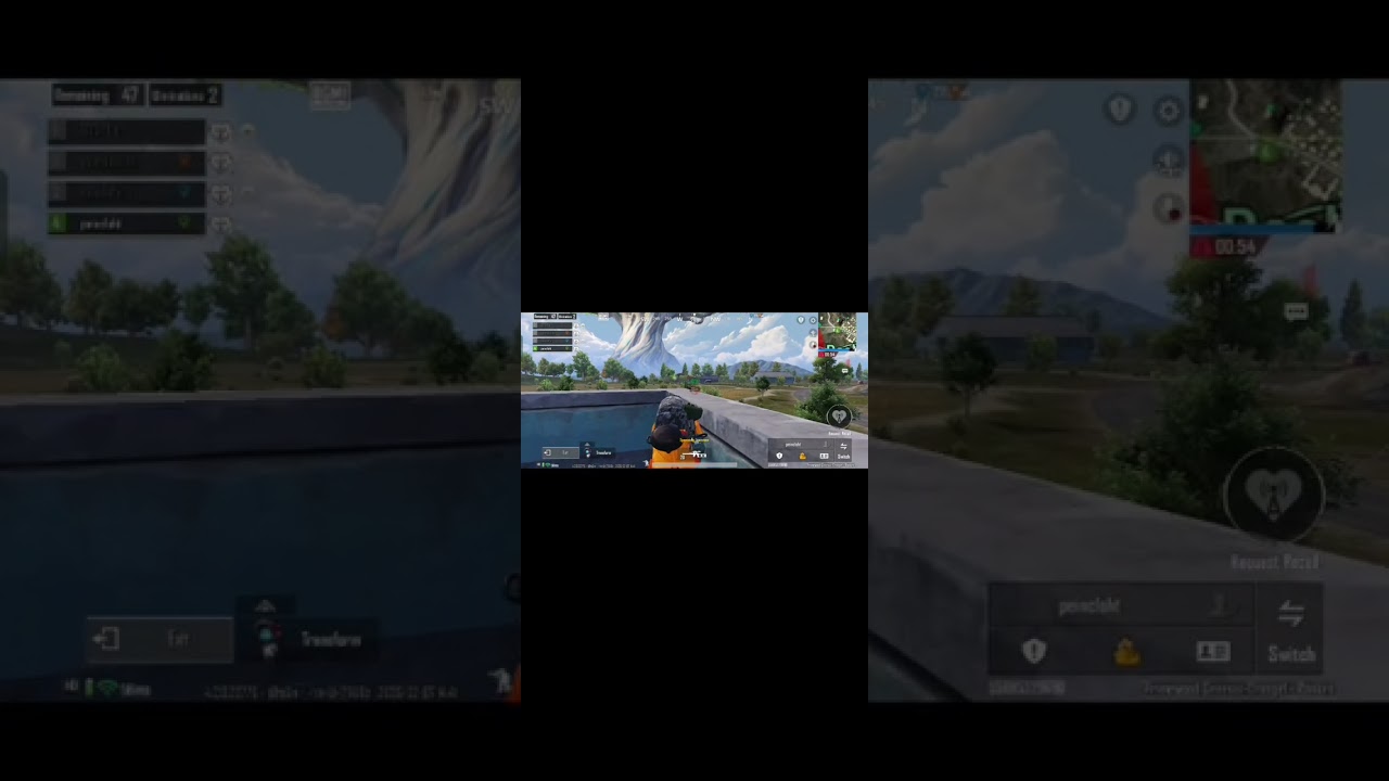 Pubg 1