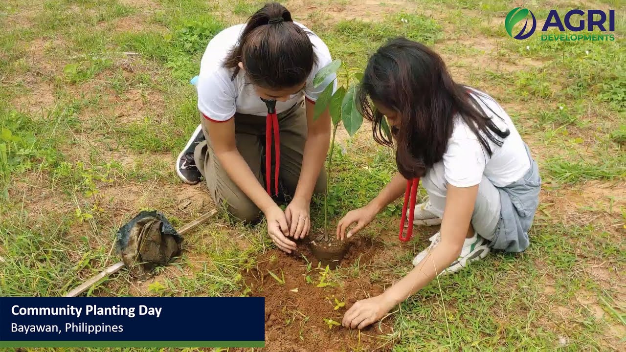Community Tree Planting Day