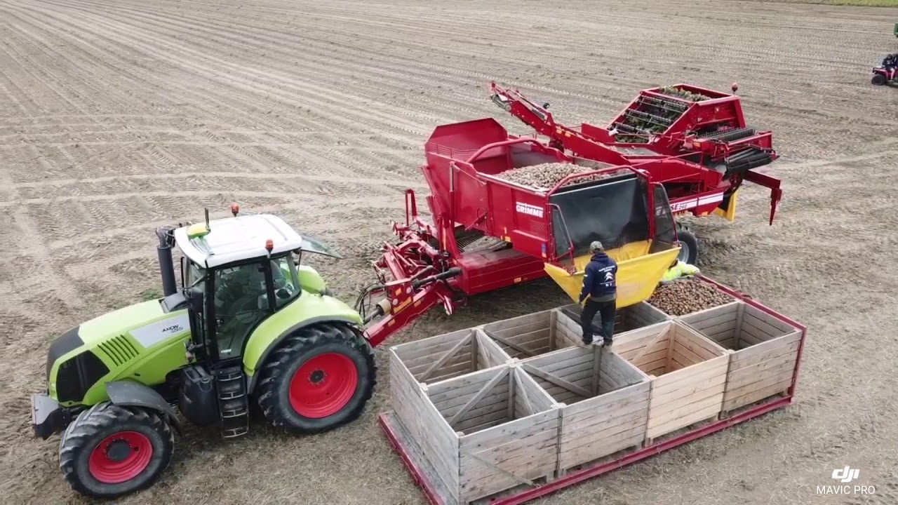 Potato Harvesting//Grimme Se 260 Norway