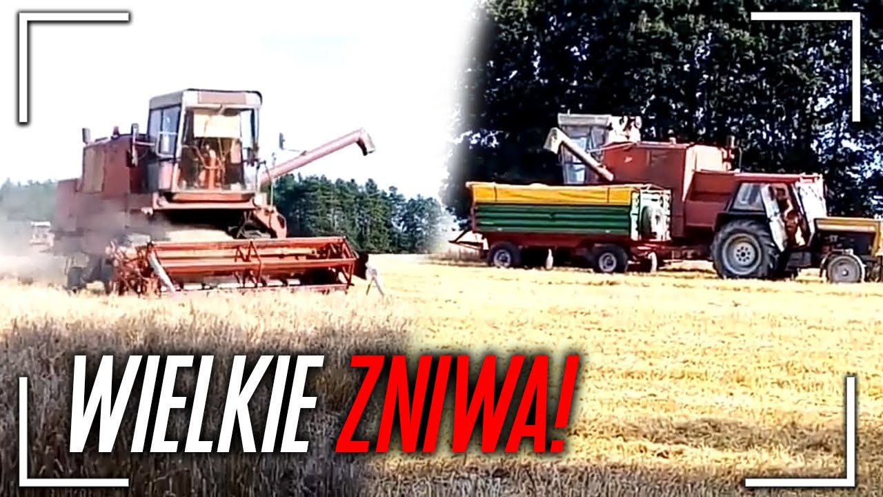 Ryczące Bizony ! ✔ Żniwa 2020 ☆ RSP Łazowa ☆ Polska Wieś w Akcji ! ✔  [Agro Team Narol]