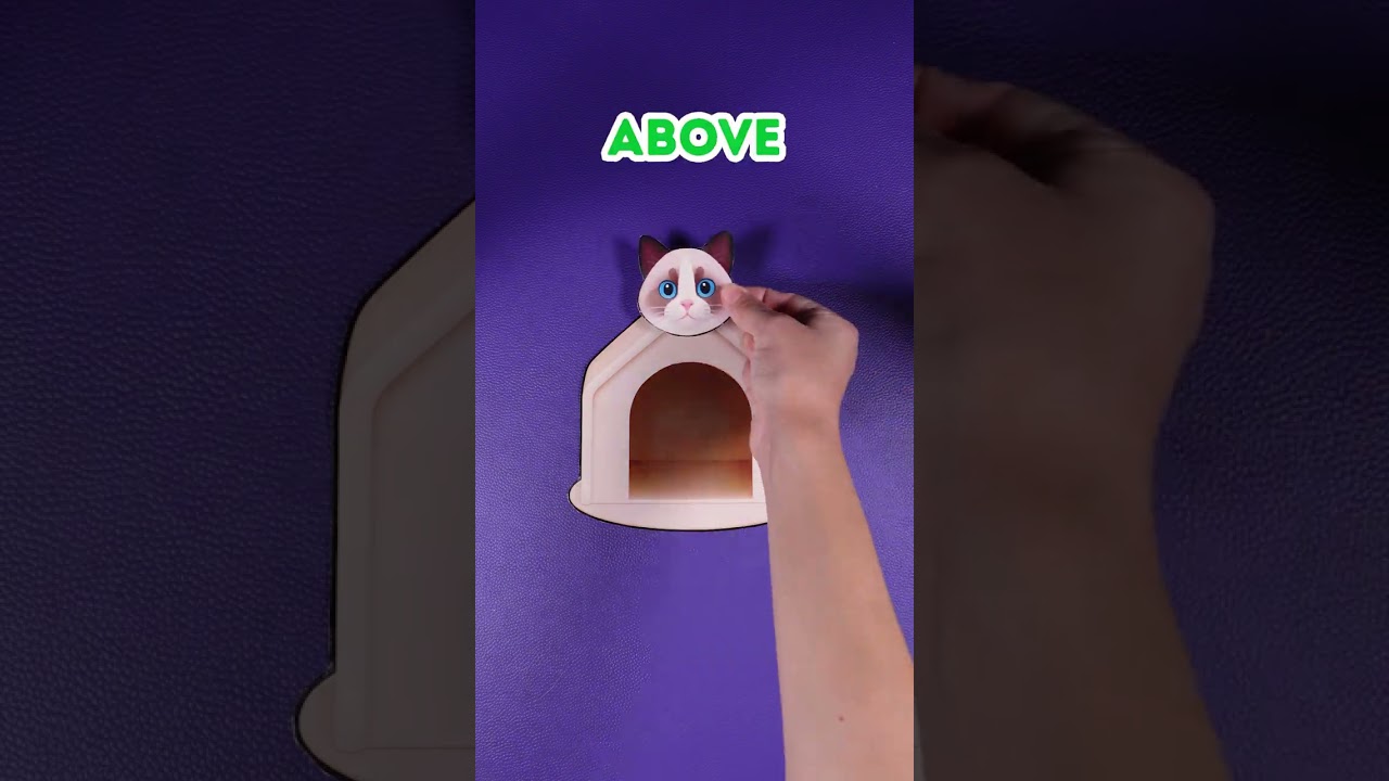 WHERE IS THE CAT❓ Let&rsquo;s Learn PREPOSITIONS While Playing FUN GAMES
