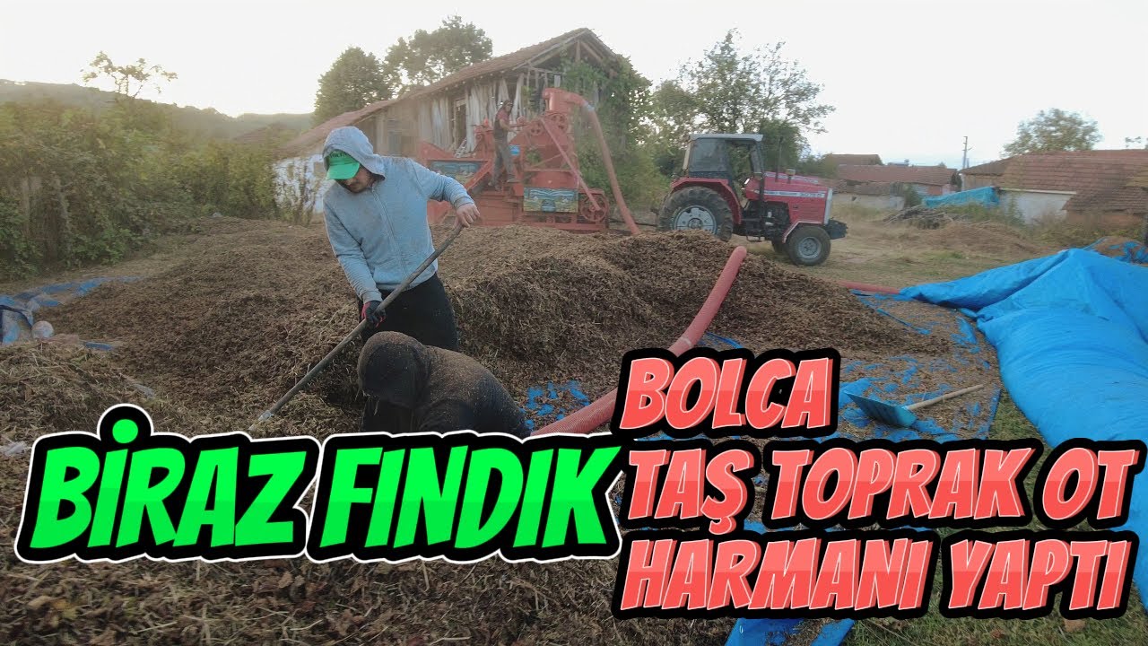 FINDIK HARMANI | ÜFLEME İLE TOPLANAN FINDIK HARMANI KAÇ SAAT SÜRDÜ ?
