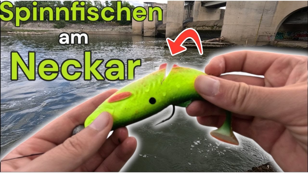 Spinnfischen am Neckar: Wels & Hecht am Wehr und Fluss-Zusammenlauf! | Angeln mit Wathose