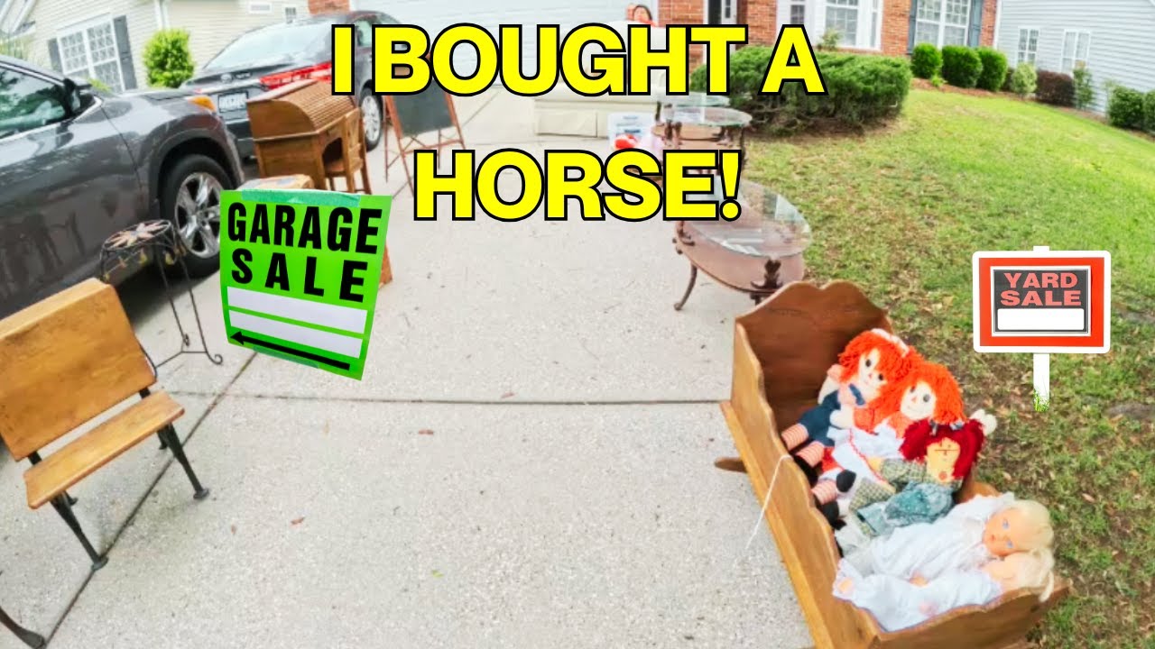 I Bought A Horse At A Yard Sale!