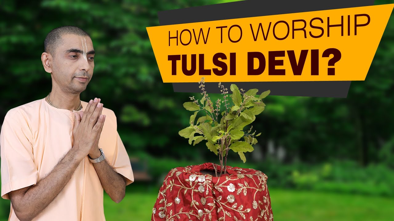 HOW TO WORSHIP TULSI DEVI? | HG Amitasana Das | HKM Mumbai