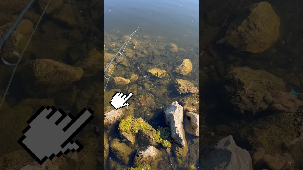 ПОПОЙМАЛ РЫБУ МГНОВЕННО (0,0002 секунды)!! 🎣🐟 #шорты #рыбалка