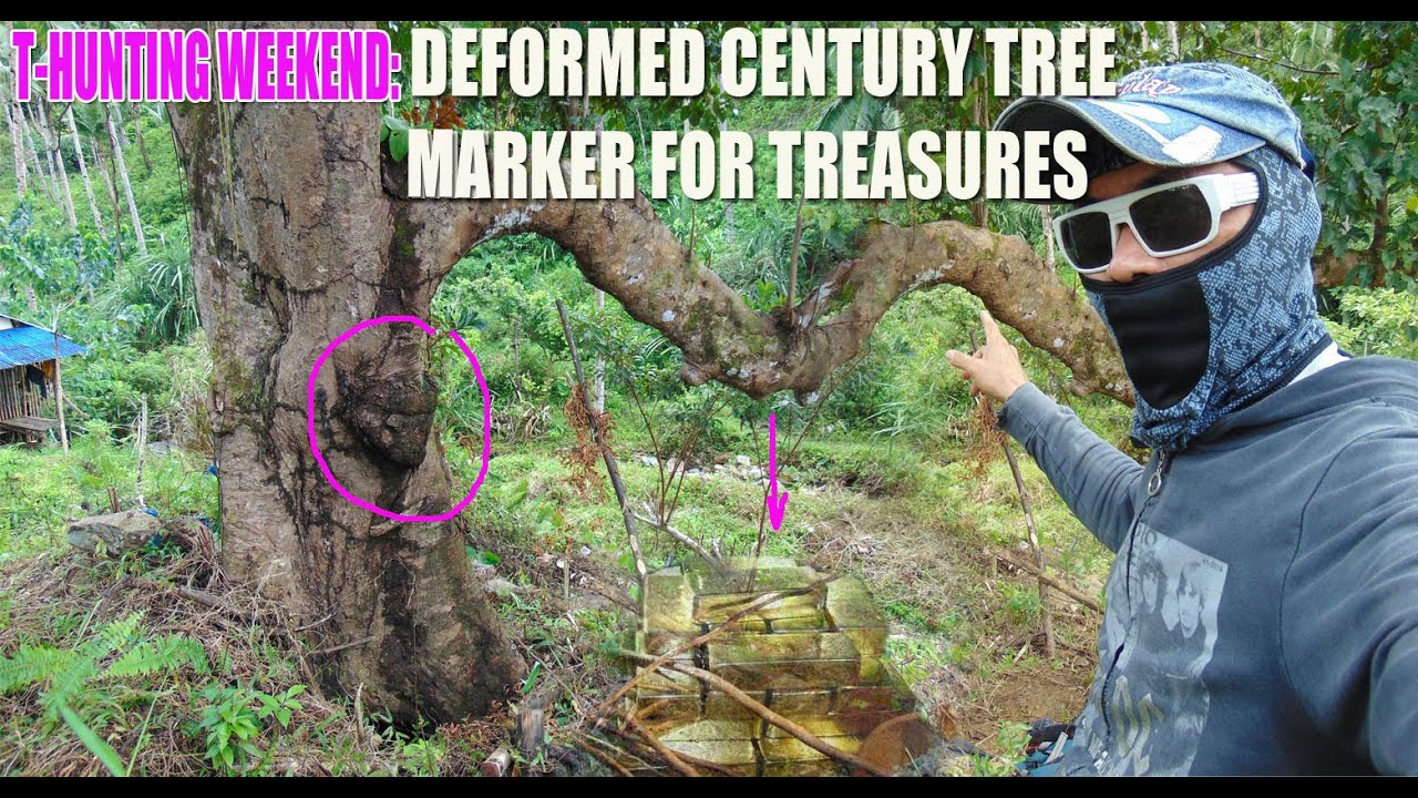 3 DEPOSIT IN DEFORMED CENTURY OLD SANTOL TREE MARKER.