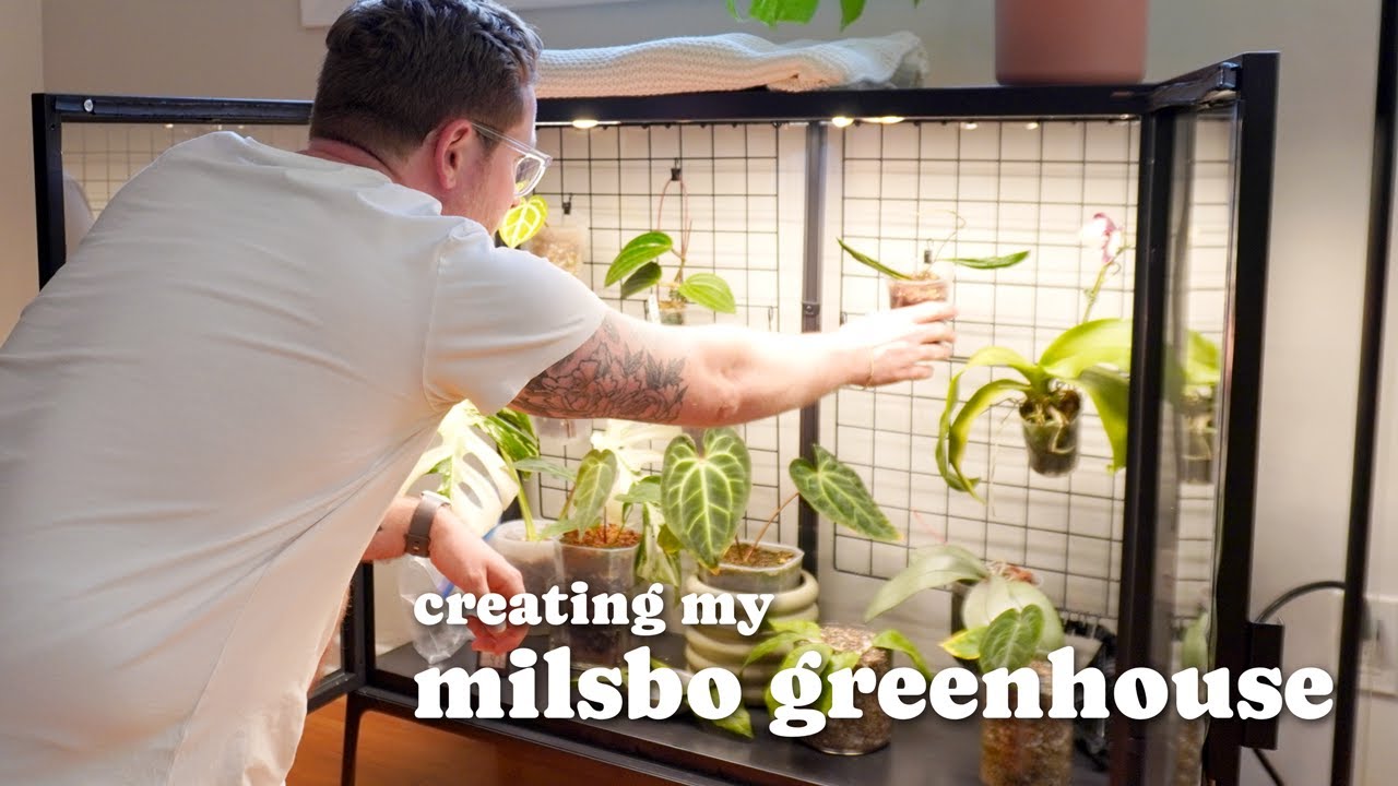 Building my Milsbo Wide IKEA Greenhouse | New Plants Added
