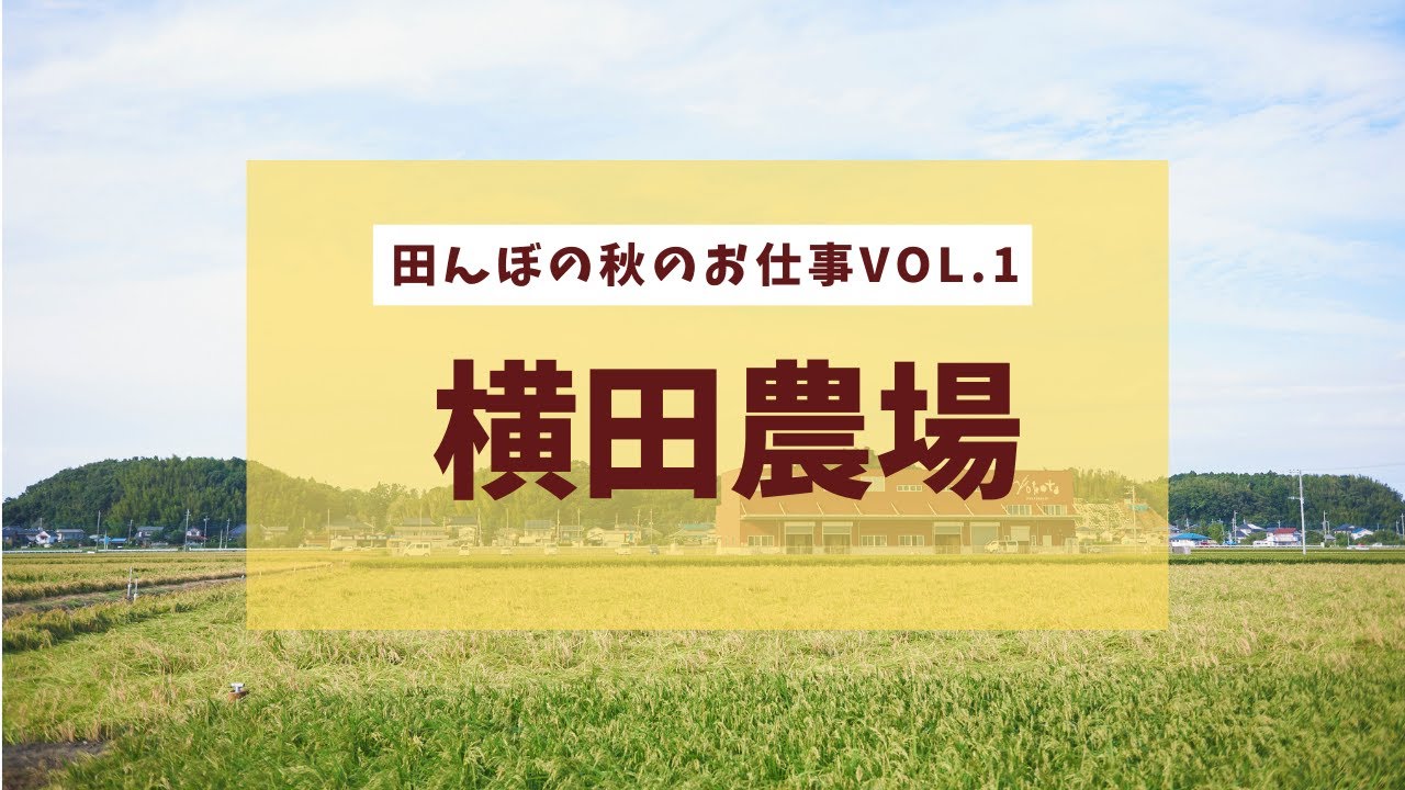 【横田農場】田んぼの秋のお仕事VOL.1〈稲刈り〉