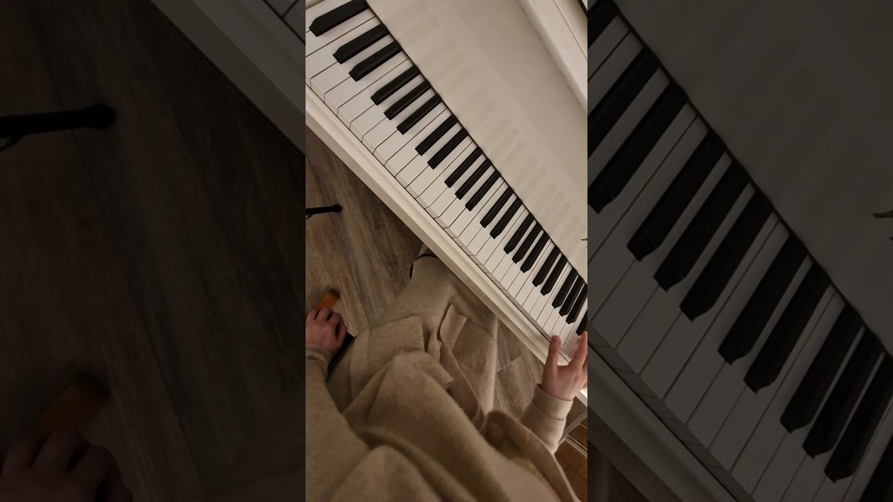 Beethoven: piano sonata nr 15 🎹 op. 28, II. movement 🫴🏻 from bar 39